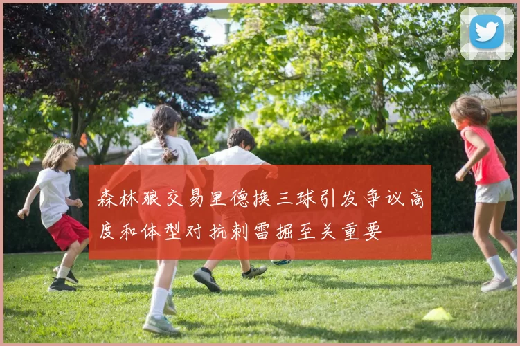 森林狼交易里德换三球引发争议高度和体型对抗刺雷掘至关重要