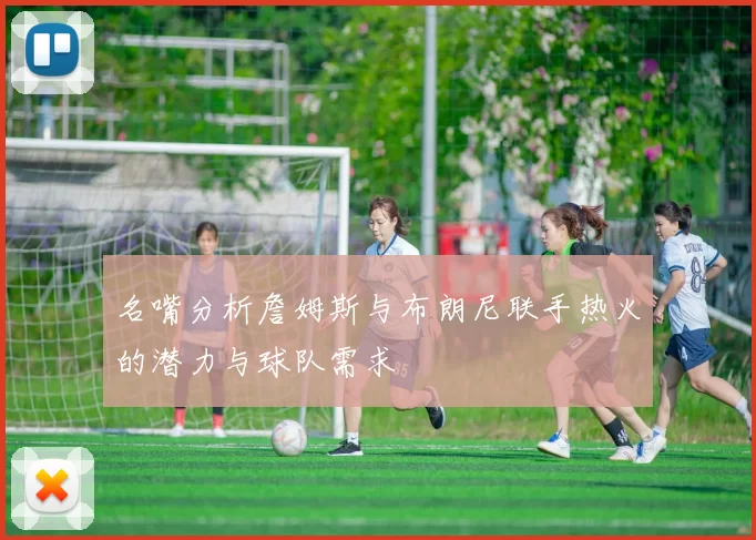 名嘴分析詹姆斯与布朗尼联手热火的潜力与球队需求